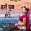 About Arji Sun Le Re Narayan Song